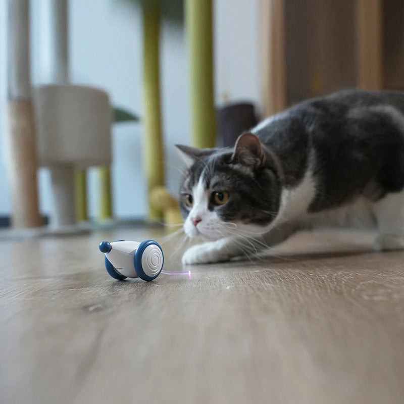 Mouse Interactive Toy